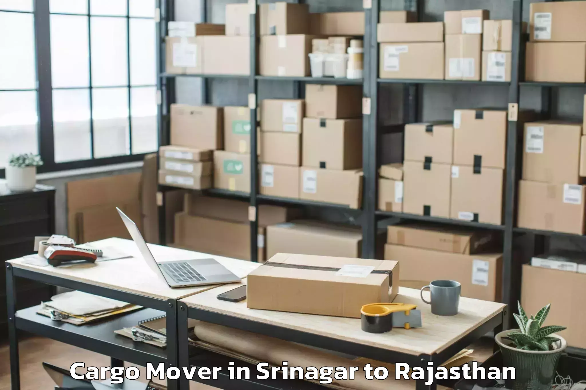 Srinagar to Dholpur Cargo Mover Booking